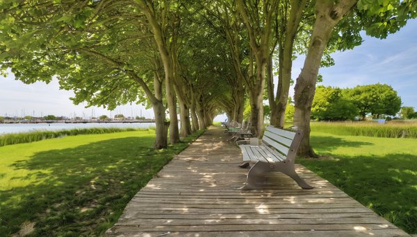 Où se détendre au cœur de la nature à la rochelle ?
